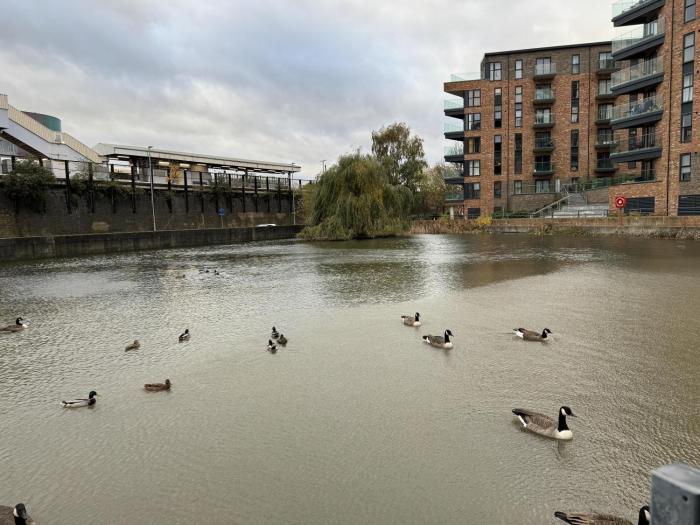 Luxury Apartment in Dartford