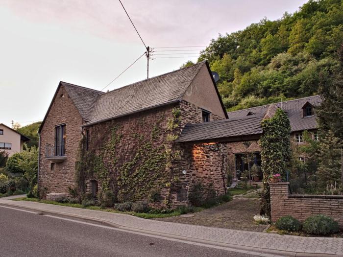 Apartment in Kobern-Gondorf