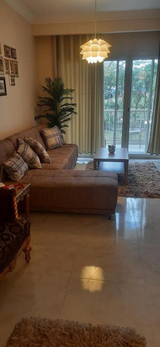 الشيخ زايد في القاهرة