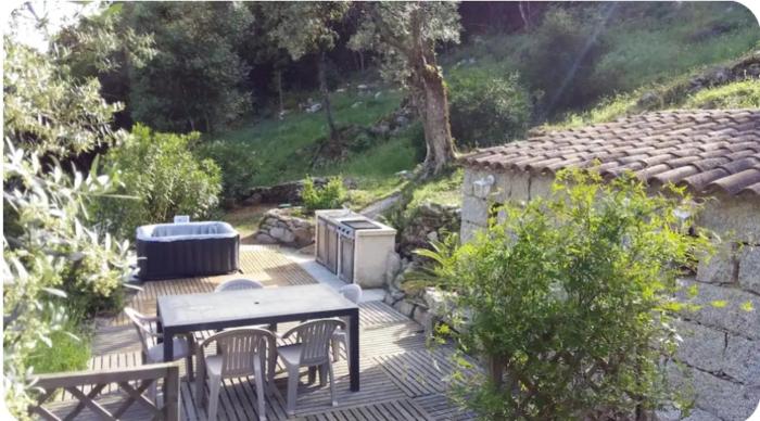 Gîte au coeur dune oliveraie