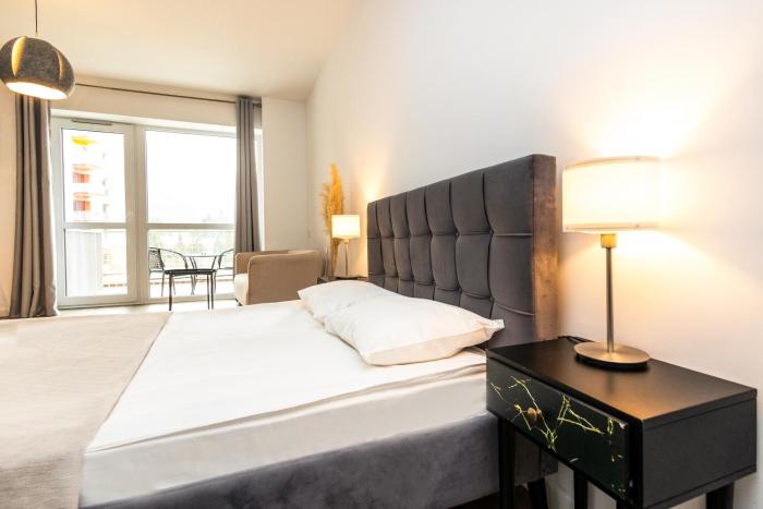 Walter Studio Sinaia with Balcony and Private Parking