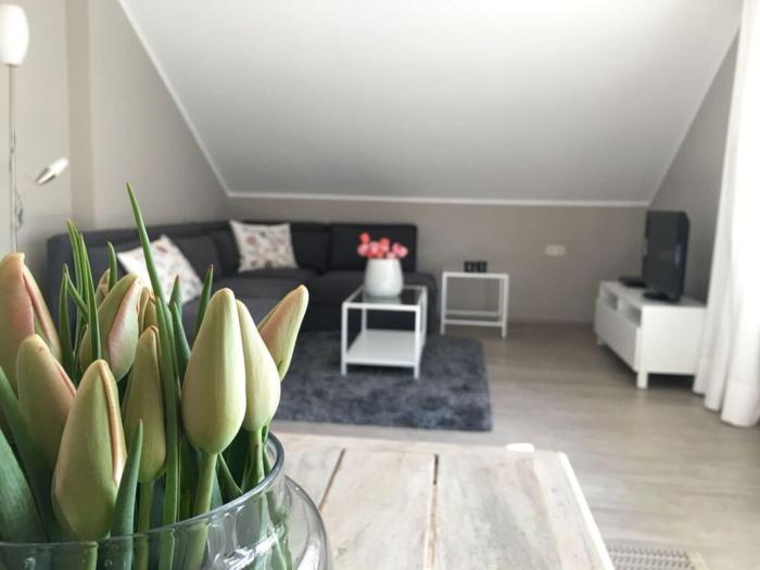 Apartment in Sasbach - Jechtingen