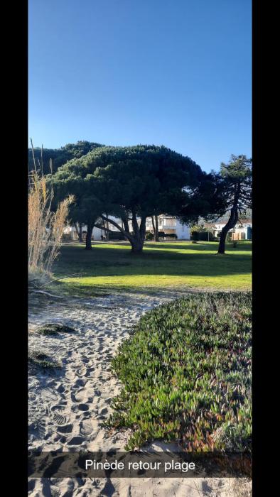 Location appartement les pieds dans leau, Résidence Aqua Linda à Poggio-Mezzana