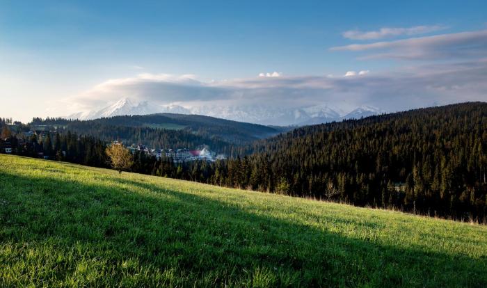 Hotel BUKOVINA