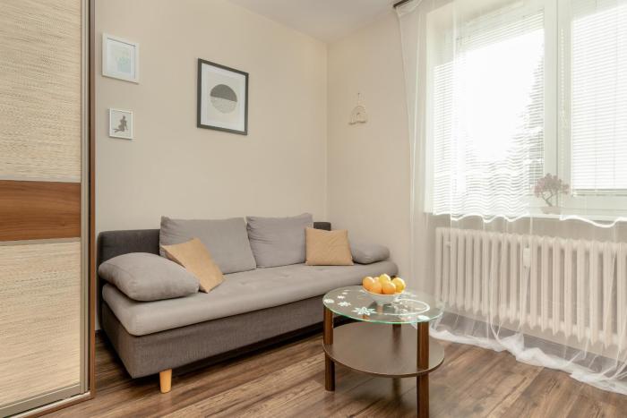 Comfortable Apartment in Gdynia by Rent like home