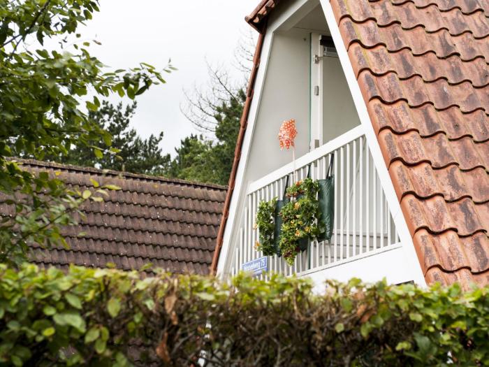 Holiday Home Ruiten AA comfort by Interhome