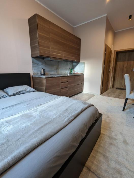 Apartment A1 in Downtown of Krakow