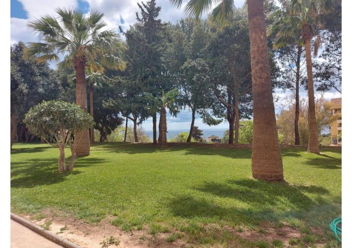 CENTRICO ESTUDIO EN IRIS