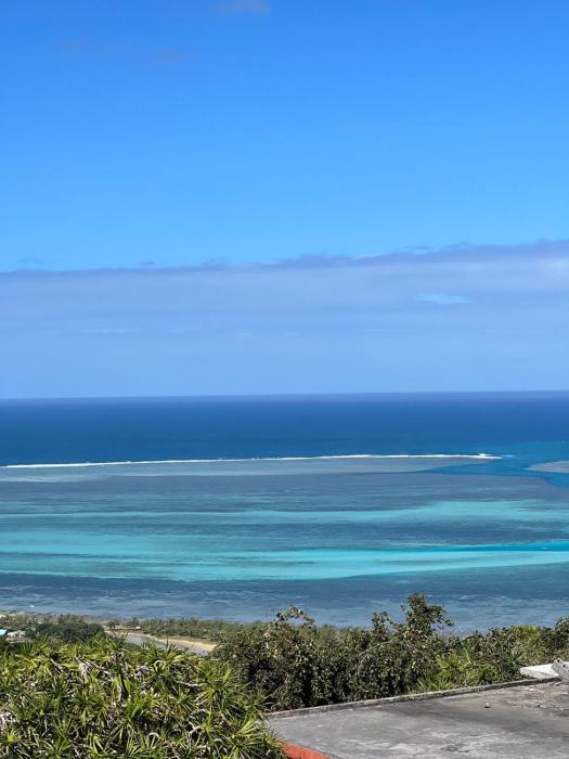 Ô Bercail du Sud-Hibiscus chez Jeannette