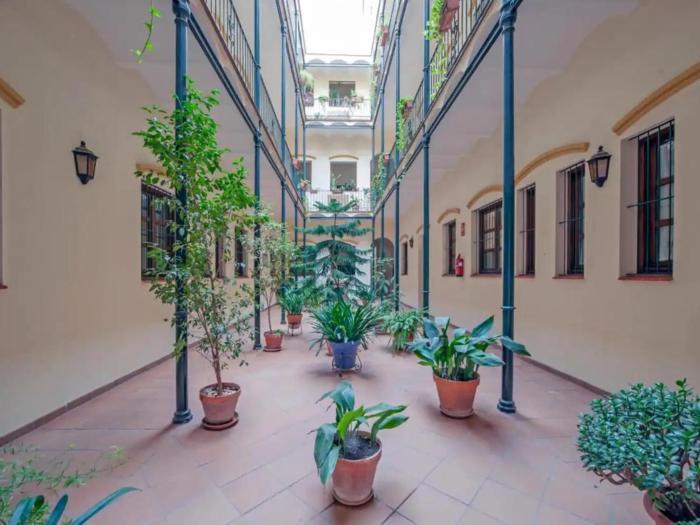 MonKeys Apartments Castilla Triana