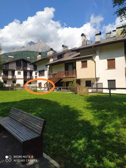 La casa dello scoiattolo primierotto