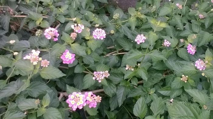 8-17 Nomura Motomachi - House Vacation STAY 1894