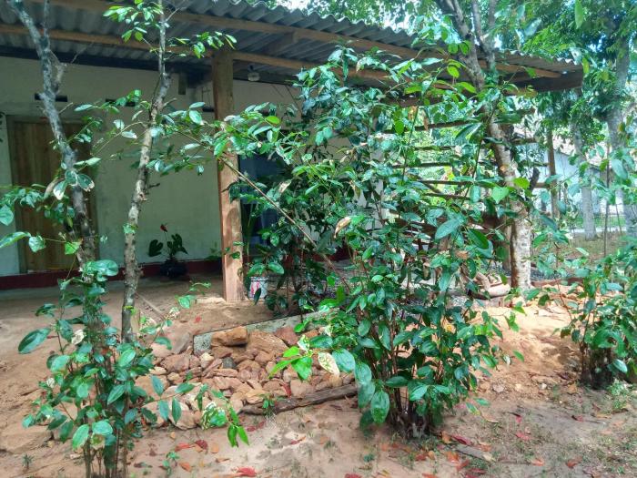 Cinnamon Forest Nature Rooms