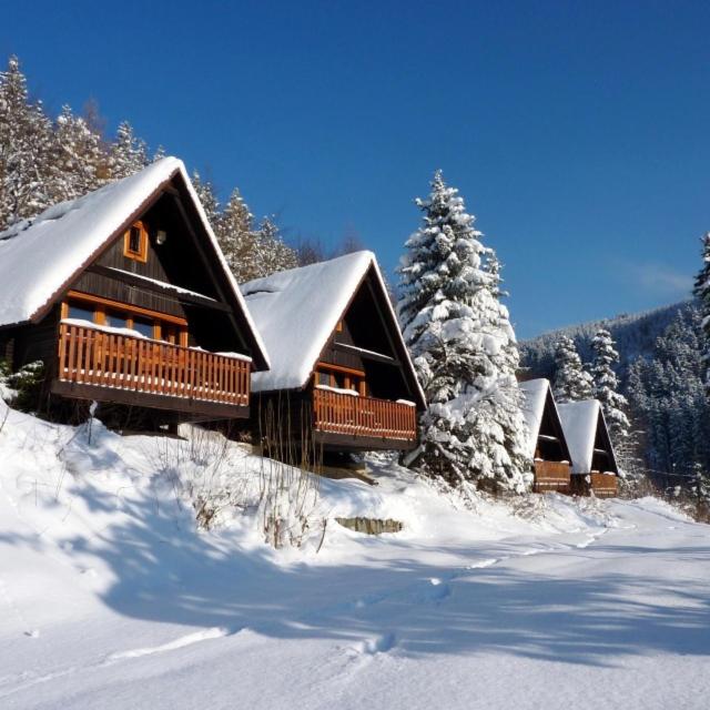 Bungalovy Sepetná - Silvestr s večerním rautem, vybranými nápoji a zábavným programem