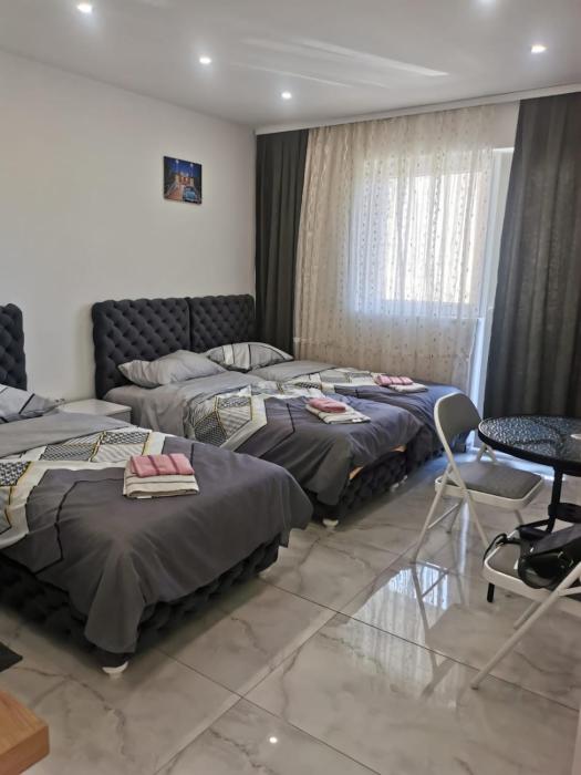 Apartman Aleksandar 1