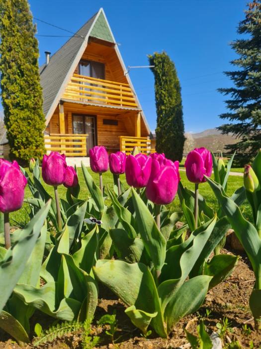 Chalet Velebitska Kuća