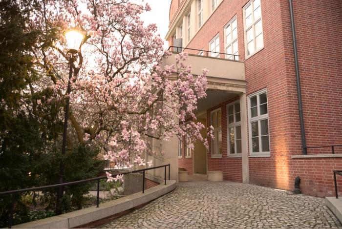 Rooms in Historic Heart of Wroclaw