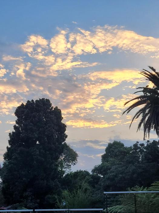 Aloe Arbour Self-catering cottages