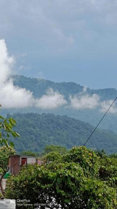 RASA- DIVINE (Rishikesh)