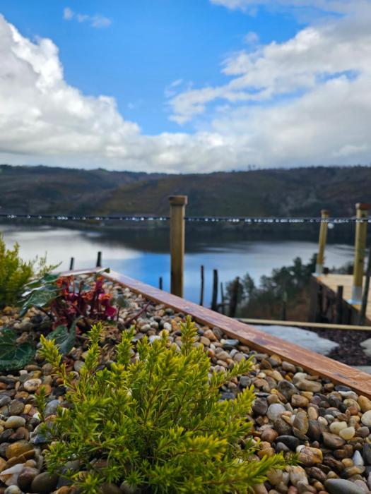 Viña Candaz By Oktheway