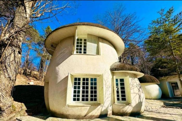 Il villaggio dei puffi