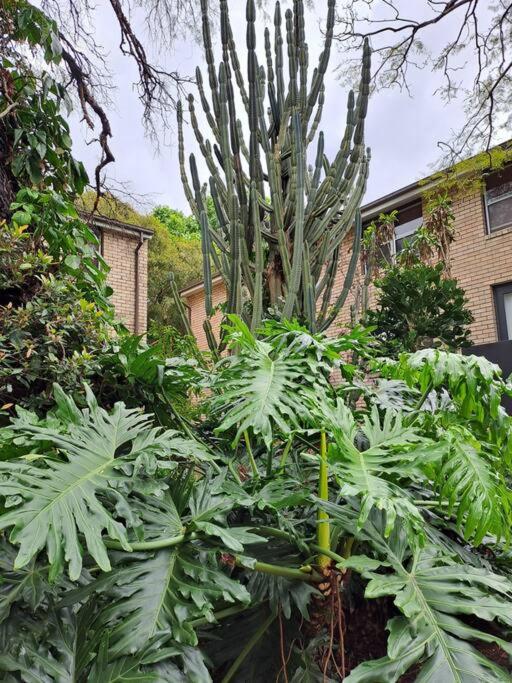 Lovely 1bed apartment Sydneywest w parking