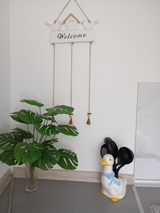 Studio Biokovo smaller object 22 m2