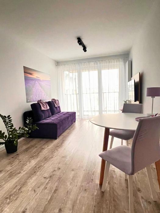 Apartament PURPLE