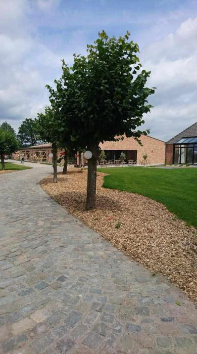 Vakantiewoning de Worfthoeve