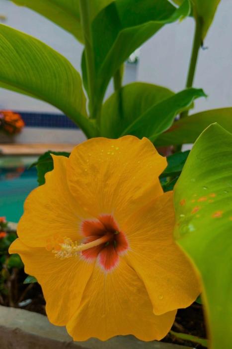 Casa de Praia em Ubatuba