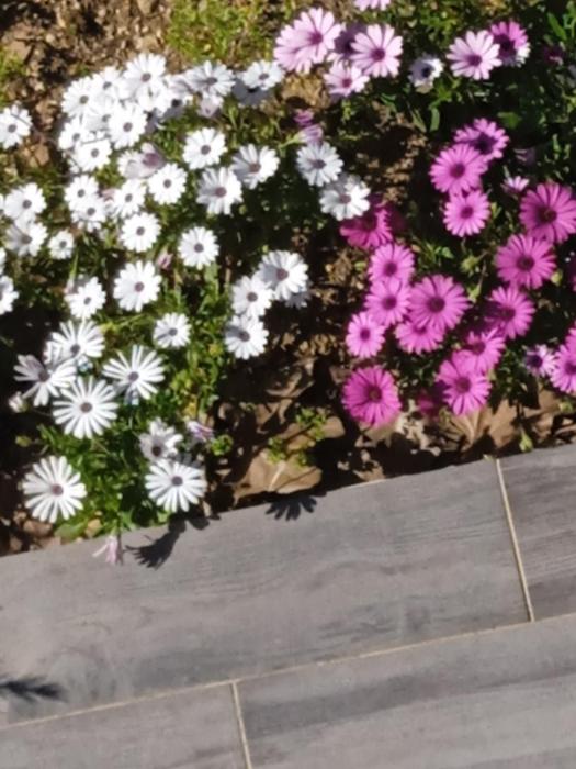 Provencal style home in Mediterranean seaside town