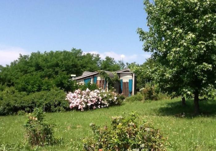 Villa di design nelle colline del Piemonte