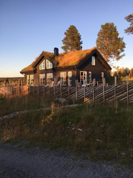 New and cozy family cabin on Golsfjellet
