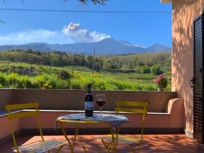 Tenuta Kiwi dell’Etna