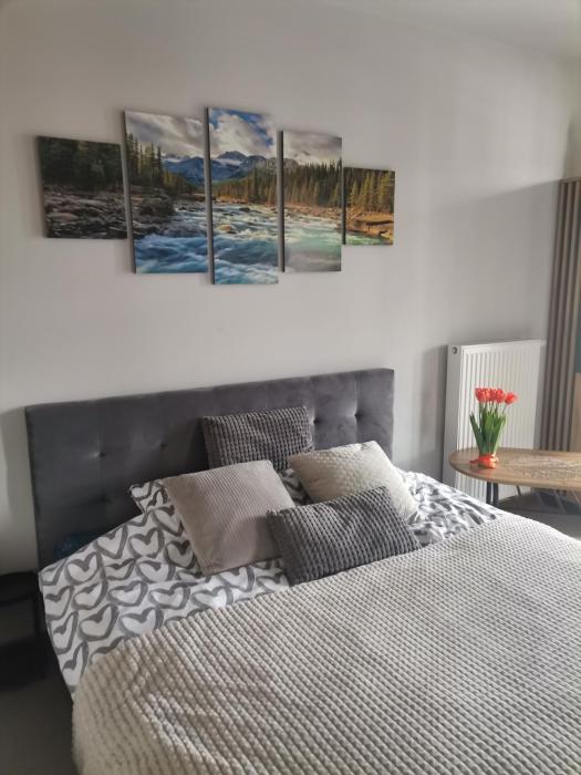 Apartament Górska Szarotka