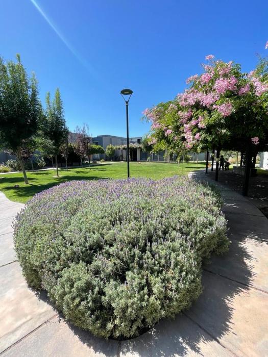 Departamento 4p MorenoPark Lujan de Cuyo