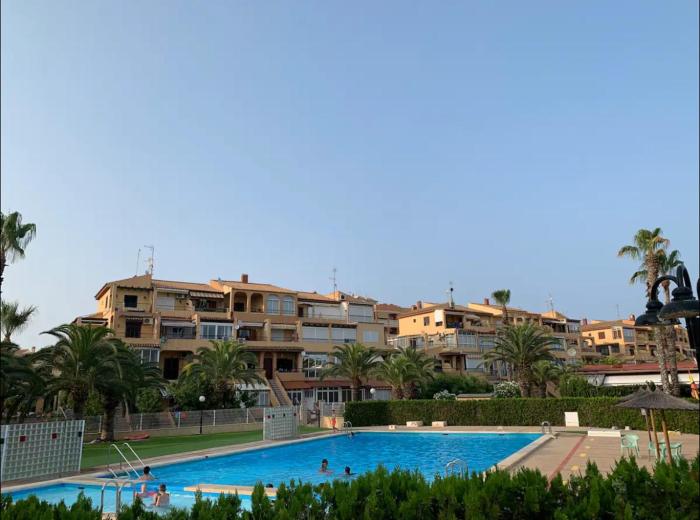 Under the Palm Trees