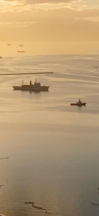 Birch Tower by the Bay
