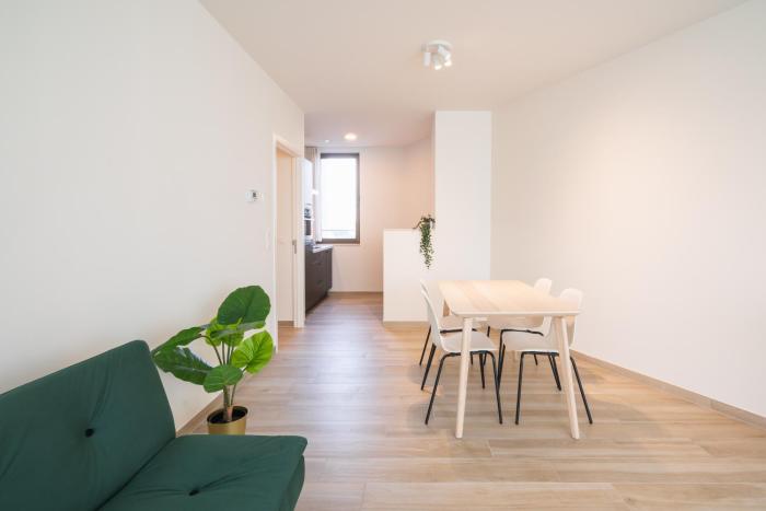 Opera Square Apartments in Antwerp Centre