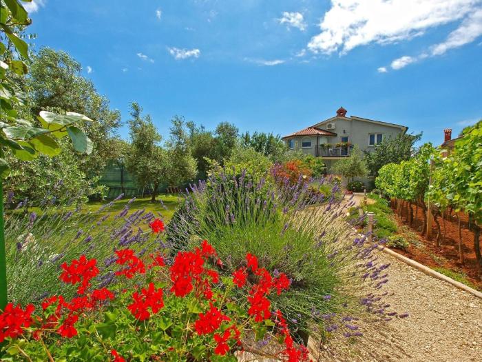 Ferienwohnung für 4 Personen ca 35 qm in Fažana, Istrien Istrische Riviera