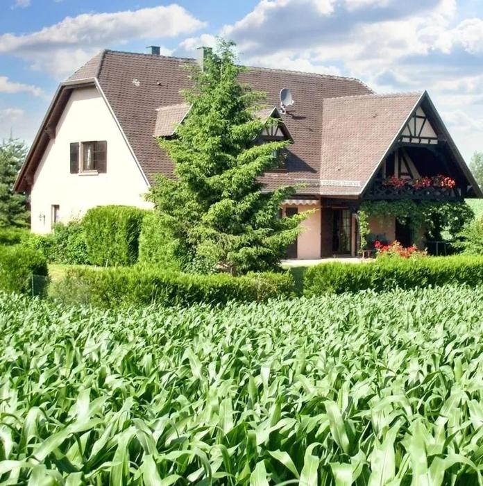 Appartement charmant à Hochfelden - 100 m² et parking gratuit