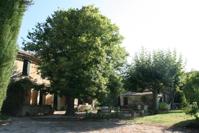 Castellet, Mas provençal, piscine dans les vignes