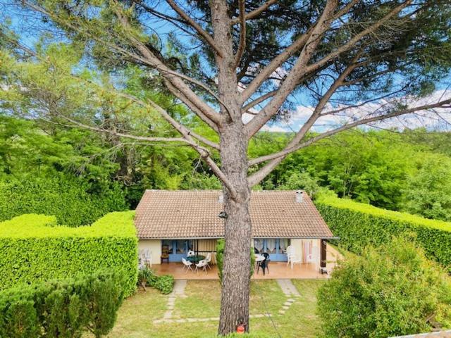 Gîtes de la villa du pin