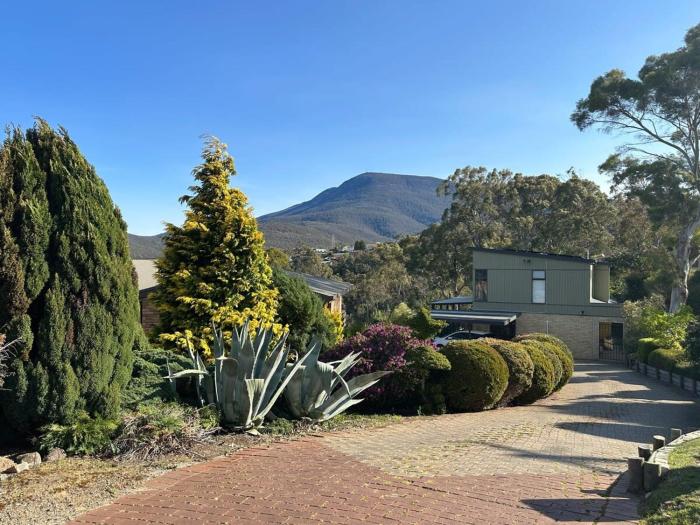 Mountains and Treetops Retreat - Nature Getaway