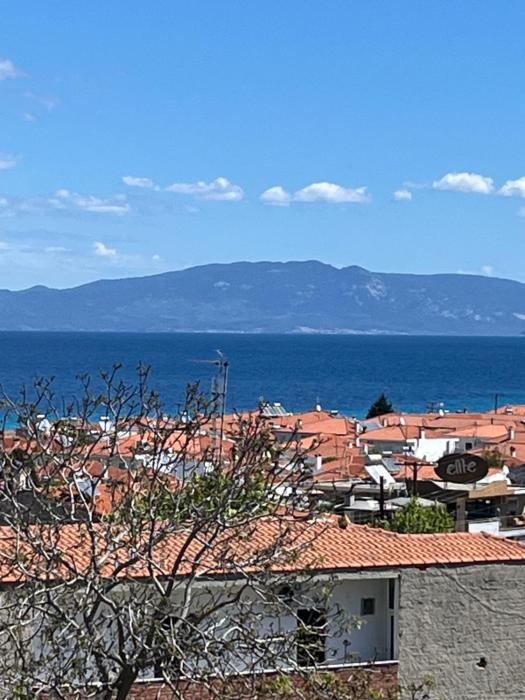 Colibri Nest Apartment Polychrono