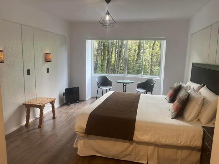 Termas Palguin Pucón