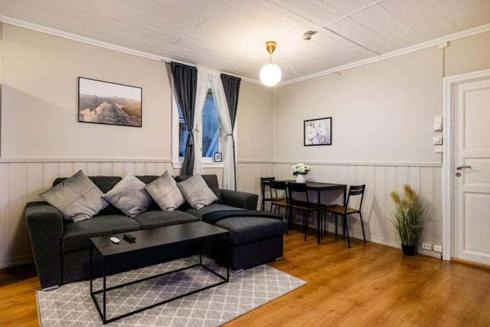 Central stay apartment - 302