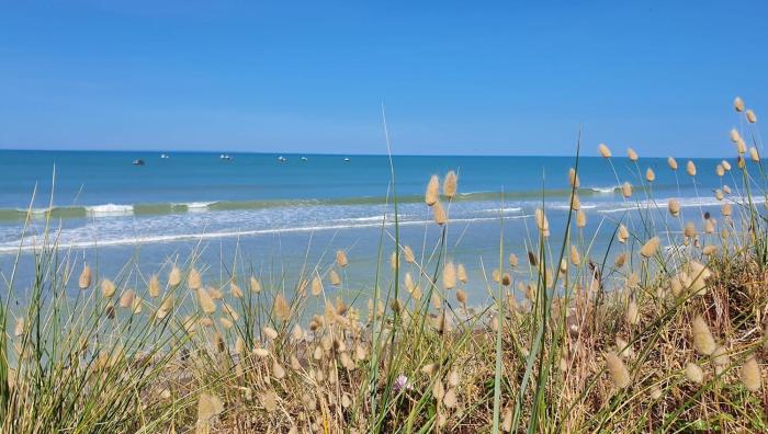 Maison de plage la grise brèche