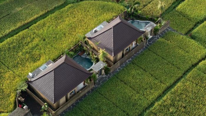 Sawah Sebatu Villa