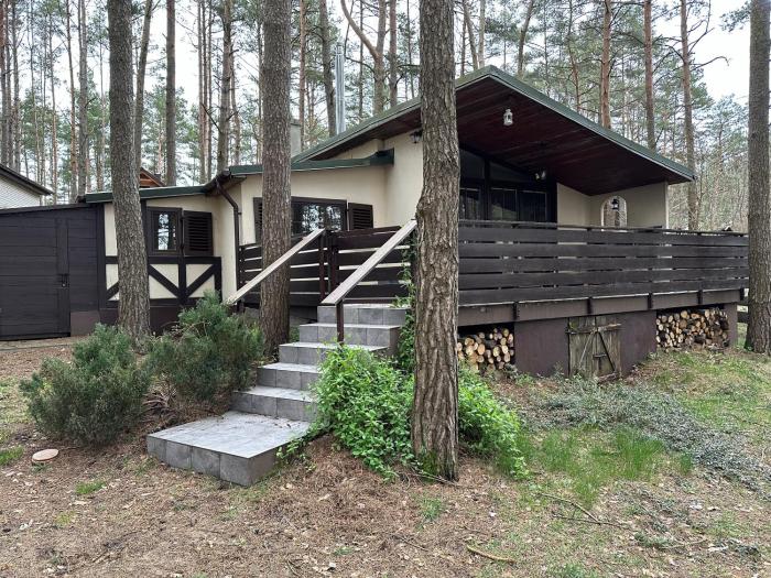 Domek letniskowy "Wiewiórka"